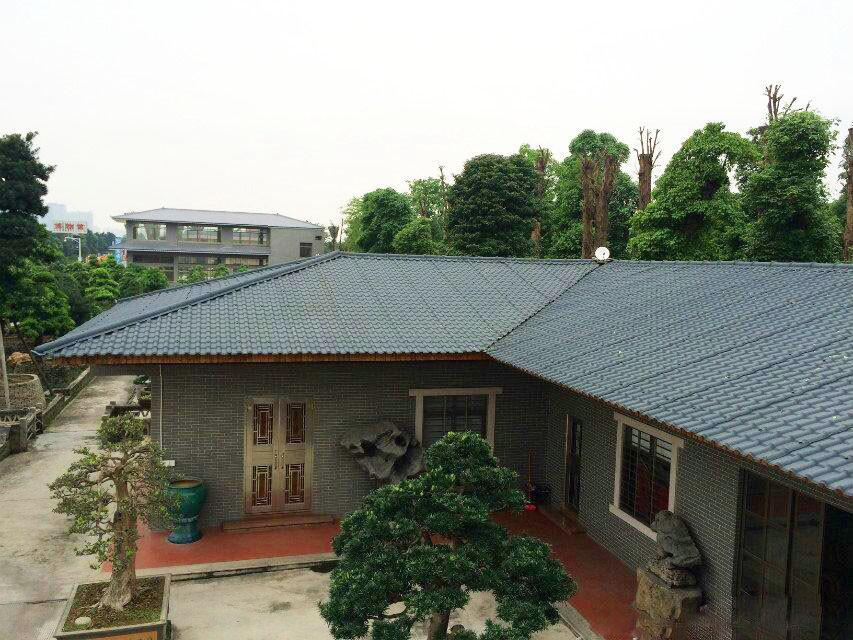 農(nóng)村自建房蓋合成樹脂瓦，美得不要不要的！
